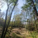 고대산자연휴양림 이미지