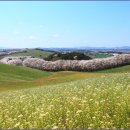 서산농장 이미지