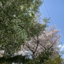 민들레어린이공원 이미지