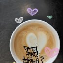 쭈쭈쭈 Daum카페