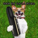 케이전자 이미지