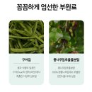 밀비민물 | [공지] 혈당스파이크 막아주는 뉴스킨 혈당엣지 최저가 할인 패키지 오픈 (비회원구매링크)