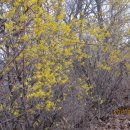 안동여자중학교 이미지