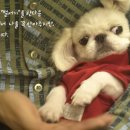 마수리홈 이미지