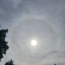 ☀️sun halo 이미지