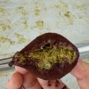 충무공동26 이미지