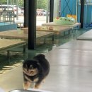 만인산농협 군북지점 | 대전 근교 계곡 '청강수 폭포가든' 금산계곡