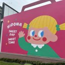 하이도나 | 과천 도넛 카페 하이도나 내돈내산 후기 ♬