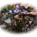 고사마을 이미지