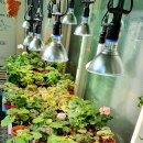 가등마을경로당 이미지