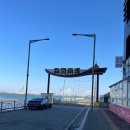 대성수산 | 구읍뱃터 대방어 맛집 대성수산｜위치·영업시간·후기