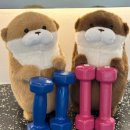 킥어스짐 이미지