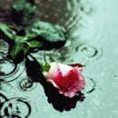 청대공인중개사사무소 이미지