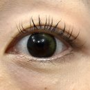 하니언니 | 수정구속눈썹펌 가성비 좋은 속눈썹언니에서 C컬 뷰러펌받은 후기