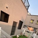 스프링댕댕 이미지