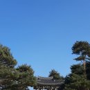 동해시립북삼도서관매점 | 양양] 1박 2일(?) 강원도 대중교통 여행 / 속초 조양동 선사유적 / 낙산사 겨울 동해바다 새해일출명소