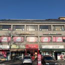 프레드피자 | 혜화 성대 앞 피자 맛집 '프레드피자' 종로점 솔직후기🍕