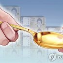 금수저 디지털타임스