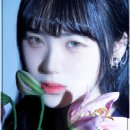 여기는사진관 이미지