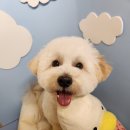 옐레드 부천상동점 이미지