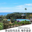 이랜드파크켄싱턴리조트서귀포주 | 제주오션뷰숙소 제주도4박5일 숙소 중 최고였던 켄싱턴리조트 제주중문점
