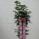 다원엔지니어링 이미지