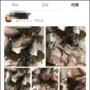 매운탕거리 이미지
