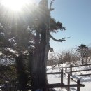 한마루농장 | 20130105덕유산종주리딩산행(백련사-향적봉-남덕유산)