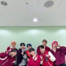 고양이편지