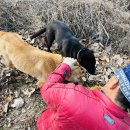 애경농장 이미지