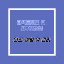 PNG콘택트렌즈 이미지