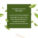 메타린패밀리 구매가능🤩