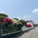 도평 스테이 이미지