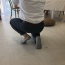 미아점 기아오토큐 | 일상사진 2탄