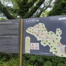 [제주도] 제주도 가족여행 3편 - 제주도 동쪽 (구좌/성산) 여행 코스 추천 I 부모님과 함께 여행 코스