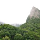 선학목장 이미지