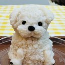 독구제과 이미지