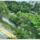 더희수뷰티스토리 분당수내역점: 최고의 미용실을 찾았습니다!
