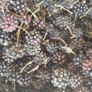 산마을농장 이미지