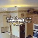 마루 바닥이 꺼지면서 추락하는 노동자 이미지