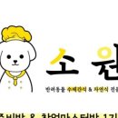 소원 반려동물 아카데미 이미지