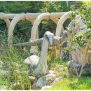 쥬라기별빛쉼터 이미지