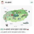 글루텐프리 치즈케이크 맛집, 서귀포카페 모노클제주