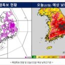 문화중심오늘