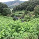 문화유산육성과 이미지