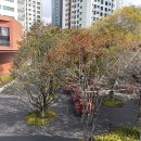 커피하우스2 | [내돈내산 리뷰] 수안커피컴퍼니 커피하우스 솔직후기