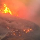 늘소나무산장 | 일차적으로 산불 피해의 원인은 소나무 위주의 침엽수림이다.