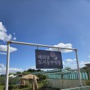 해와달농장 | [파주 해와달농원] 내돈내산 어린이 단체 사과체험 서울 근교 미니사과 체험 추천 9~10월 체험 농장