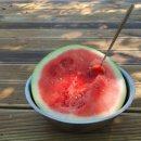 정솔농장 이미지