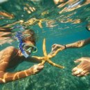 동아스포츠산업 이미지